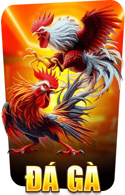 đá gà